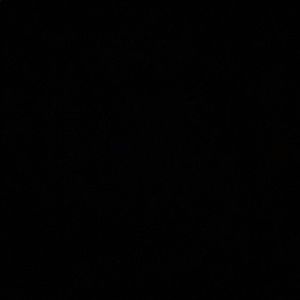 Meet your Posher, Shad